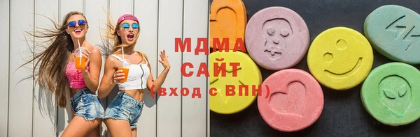 spice Богородицк