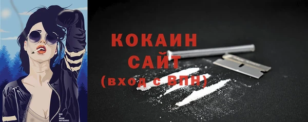 spice Богородицк