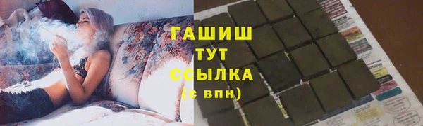 spice Богородицк