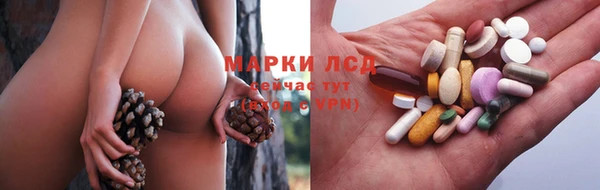 spice Богородицк