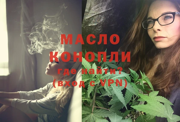 spice Богородицк