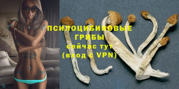 мескалин Богородск