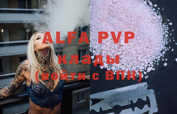 spice Богородицк