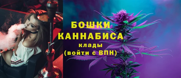 spice Богородицк
