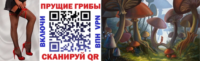 Галлюциногенные грибы мицелий  Макаров 